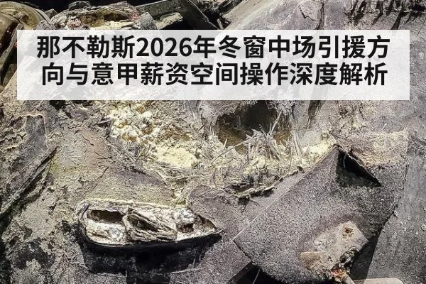 那不勒斯2026年冬窗中场引援方向与意甲薪资空间操作深度解析 - jiuyou game